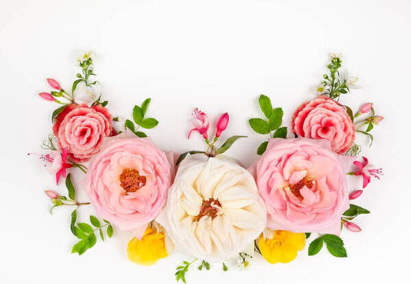 Состав цветов. Граница сортированных свежих цветов и листьев на белом фоне. Плоский, вид сверху с копировальным пространством.