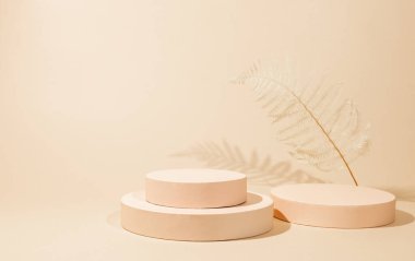 Ürün sunumu veya sergileri için geometrik podyum veya kaideye sahip soyut arkaplan. Boş silindir podyumlar ve pastel arka planda kurumuş bitki.
