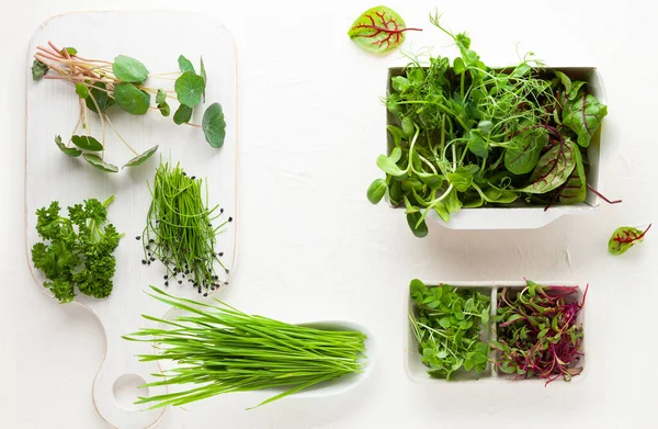 Different types of organic microgreens sprouts. Vegetarian, clean and healthy eating concept. Seed germination at home.