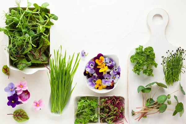 Verschiedene Arten Von Bio Mikrogemüse Sprießen Und Essbaren Blumen Vegetarisch — Stockfoto