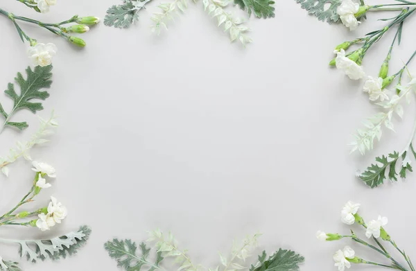 Weiße Blüten Der Nelke Und Silbergrüne Blätter Von Senecio Cineraria — Stockfoto