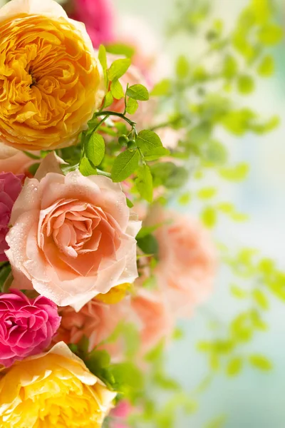 漂亮的玫瑰束 五彩缤纷的花朵节庆的背景 — 图库照片