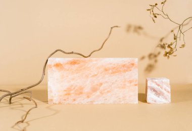 Sonbahar konsepti. Kurumuş ağaç dalları, yapraklar ve mermer taşlarla yaratıcı bir hayat. Minimalizm, ürün görüntüleme, kopyalama alanı.