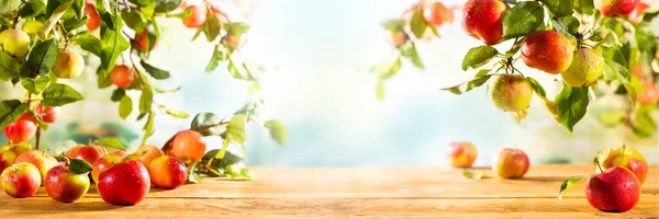 Φρέσκα Κόκκινα Και Πράσινα Μήλα Ξύλινο Τραπέζι Και Κλαδιά Δέντρων — Φωτογραφία Αρχείου