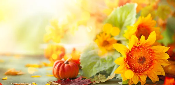 Autumn Festive Background Sunflowers Pumpkins Fall Leaves Concept Thanksgiving Day — 图库照片