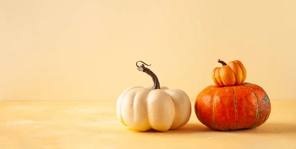 Still life with different sort of pumpkins. Autumn concept with food  on pastel background with copy space.