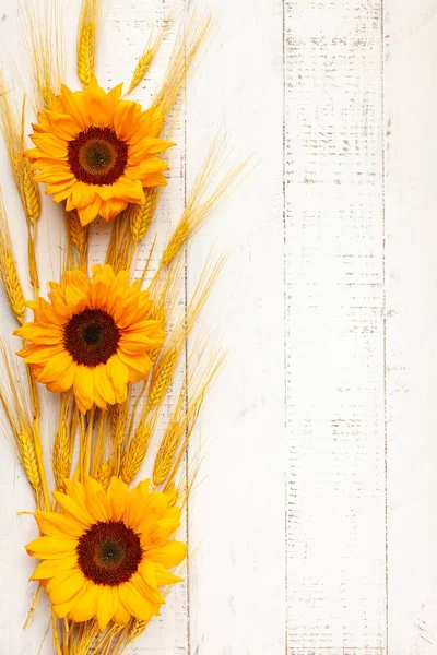 Concept Fall Harvest Autumn Composition Wheat Ears Sunflowers White Wooden — 图库照片