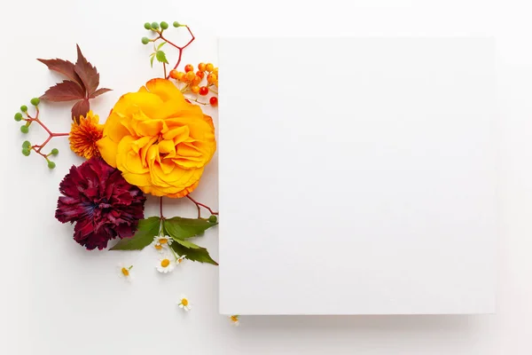 Composição Outono Com Flores Folhas Bagas Fundo Branco Flat Lay — Fotografia de Stock