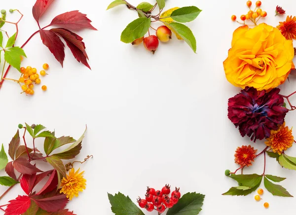 Herbstliche Komposition Mit Blüten Blättern Und Beeren Auf Weißem Hintergrund — Stockfoto