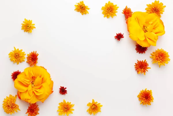 Herbstliche Komposition Mit Bunten Chrysanthemen Und Rosa Weißem Hintergrund Flache — Stockfoto