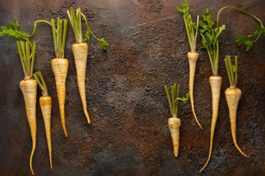 Dokulu arka planda organik yaban havucu. Sonbahar kök sebze hasadı. Sağlıklı gıda kavramı.
