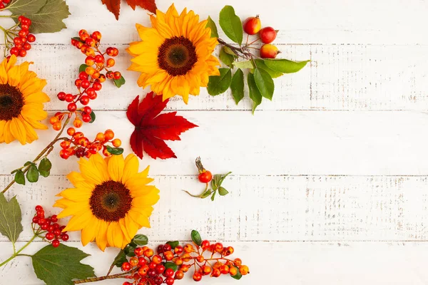 Herbstliche Komposition Mit Sonnenblumen Blättern Und Beeren Auf Weißem Holztisch — Stockfoto
