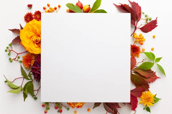 Composizione Autunnale Con Fiori Foglie Bacche Sfondo Bianco Posa Piatta — Foto Stock