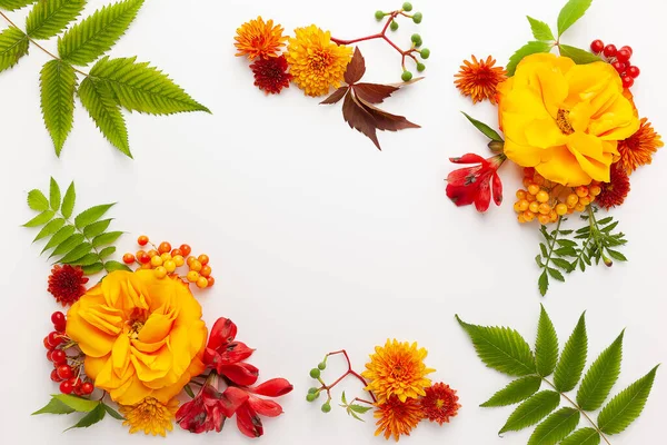Herbstliche Komposition Mit Blüten Blättern Und Beeren Auf Weißem Hintergrund — Stockfoto