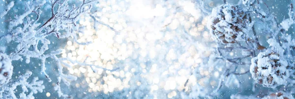 Natal Fundo Inverno Com Cones Pinho Nevado Ramos Gelados Bokeh — Fotografia de Stock