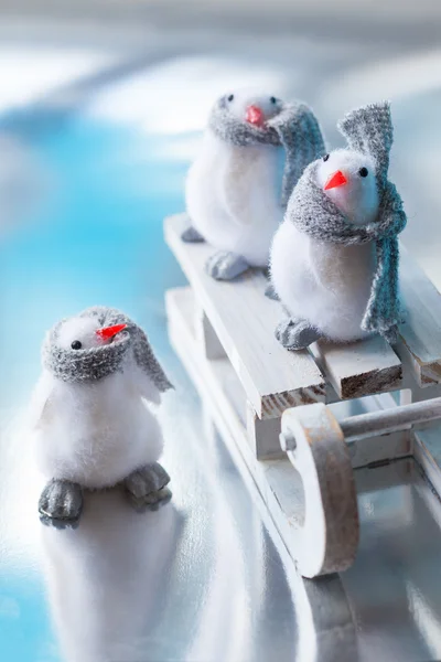 Grappige pinguïns — Stockfoto