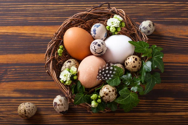 Huevos en un nido —  Fotos de Stock