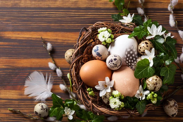 Eggs in a nest — Stock Photo, Image