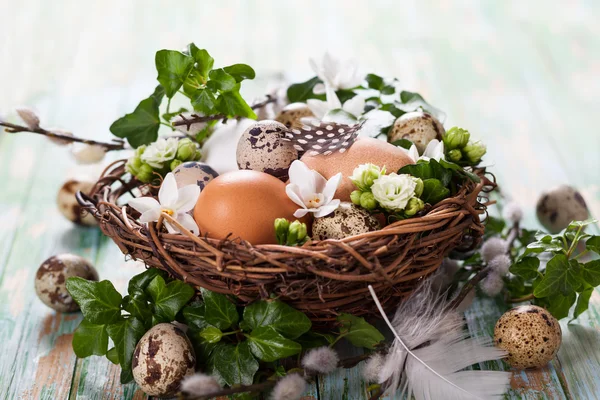 Eggs in a nest — Stock Photo, Image