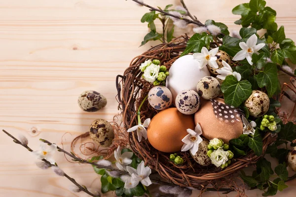 Eggs in a nest — Stock Photo, Image