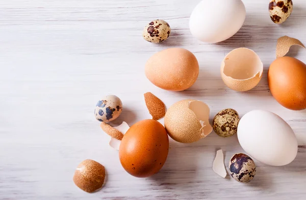 Different eggs — Stock Photo, Image