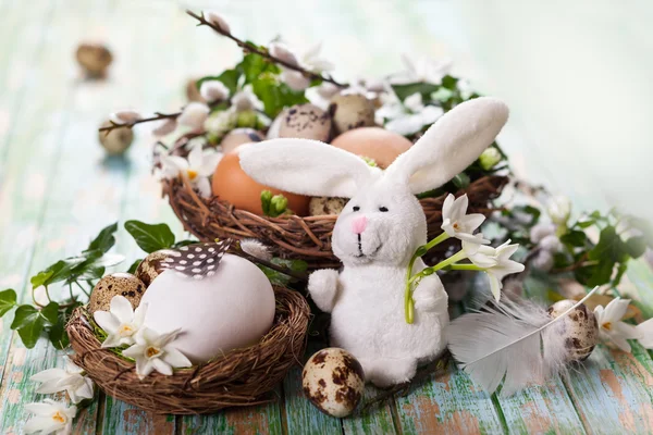 Eier im Nest — Stockfoto