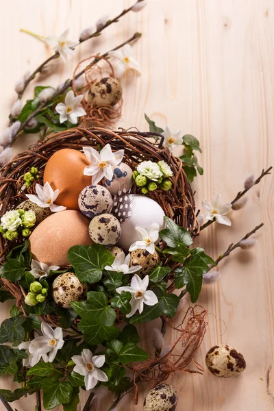 Eggs in a nest — Stock Photo, Image