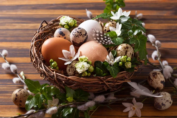 Eier im Nest — Stockfoto