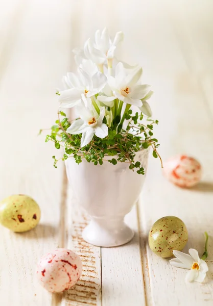 Décoration de Pâques avec des fleurs de printemps — Photo