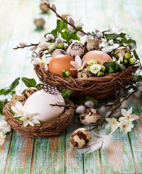 Huevos en un nido — Foto de Stock