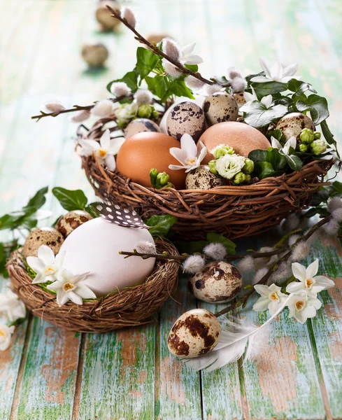 Eier im Nest — Stockfoto