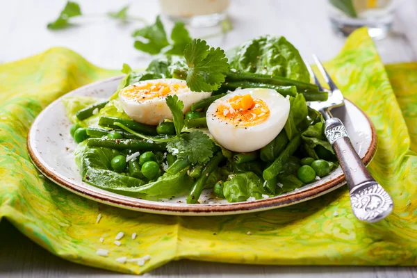 Ensalada de primavera en plato —  Fotos de Stock