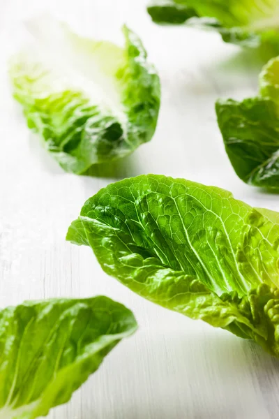 Romaine lettuce on board — Stock Photo, Image