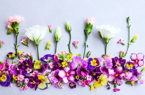 Frische bunte Blumen — Stockfoto