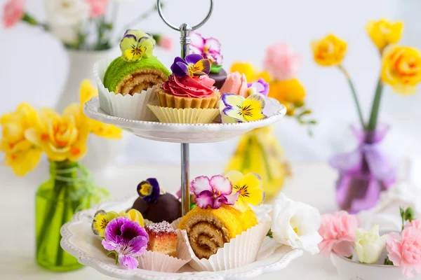 Assorted cakes and pastries on a cake — Stock Photo, Image