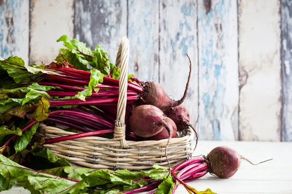 Sfeclă organică proaspătă — Fotografie, imagine de stoc