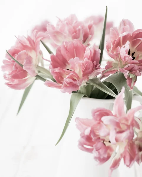 Roze dubbele peony tulpen — Stockfoto