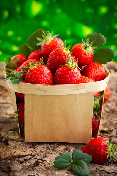 Verse rijpe aardbeien — Stockfoto