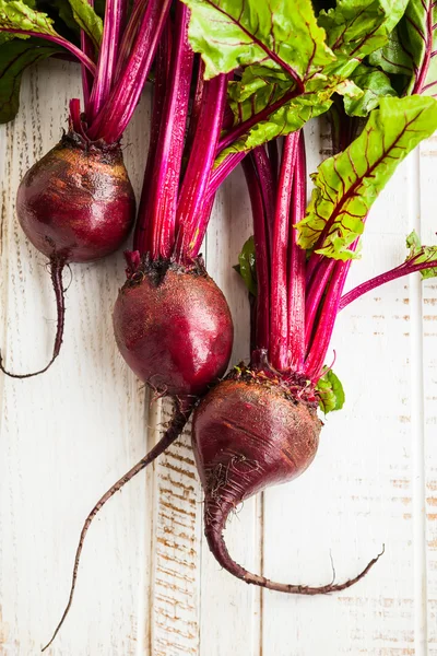 Fresh beetroot with green leaves — Stock Photo, Image