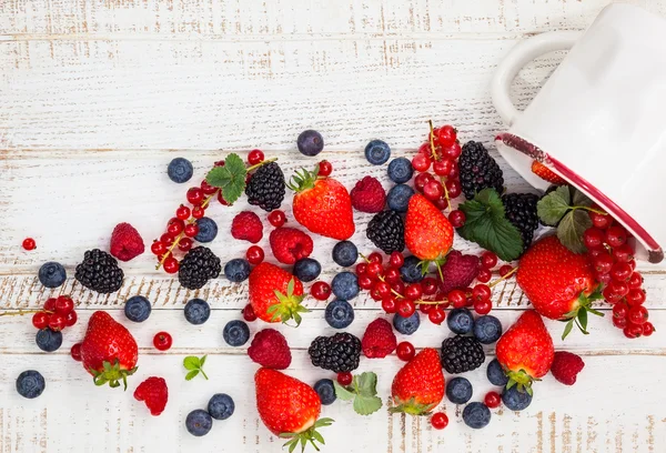 Fresh summer berries — Stock Photo, Image