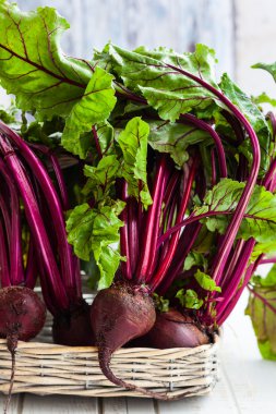 taze organik kırmızı pancar