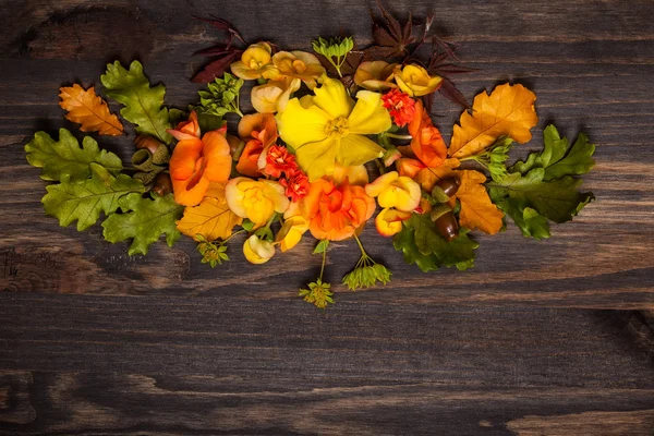 Podzimní květy a plody — Stock fotografie