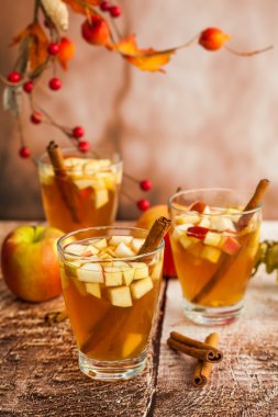 Tarçın ile sonbahar Sangria