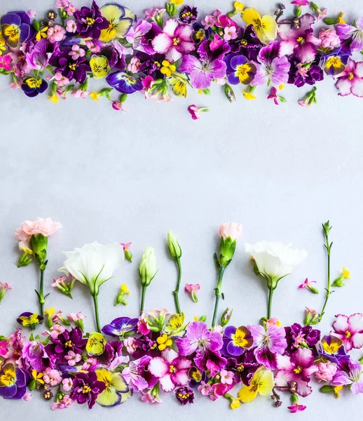 Фон зі свіжих різнокольорових квітів — стокове фото