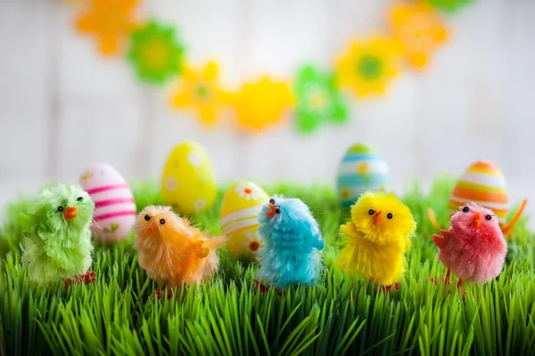 色彩缤纷的复活节小鸡 — 图库照片