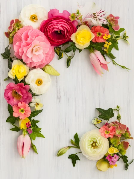 Moldura de flores coloridas — Fotografia de Stock