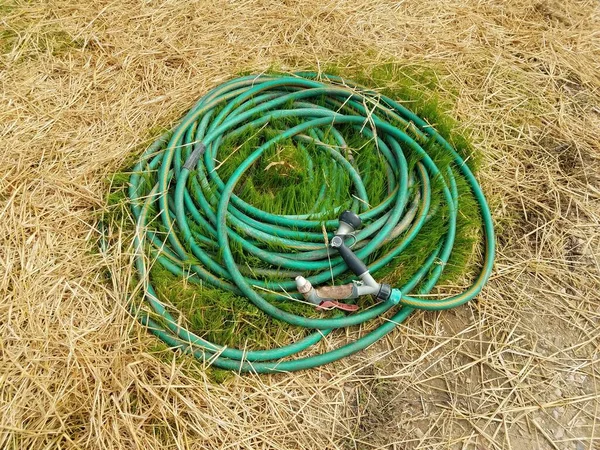 Green garden hose on grass and straw — Stock Photo, Image