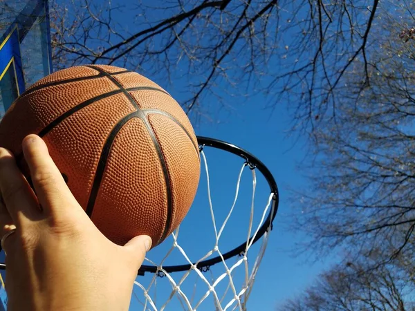 Mano hundiendo una pelota de baloncesto con aro y árboles —  Fotos de Stock