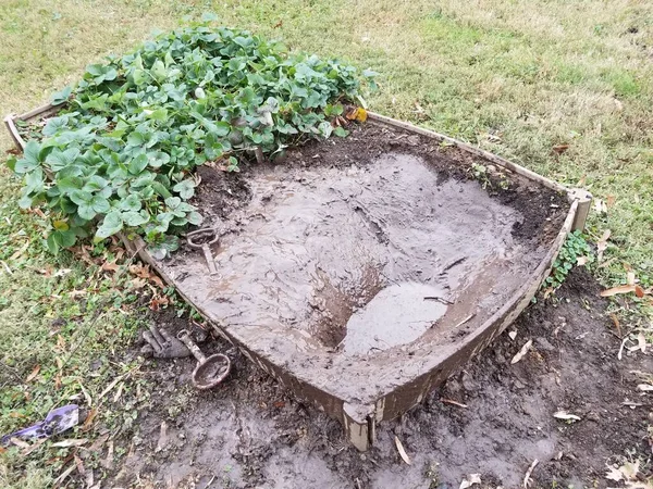 Hueco de barro húmedo en el jardín con plantas de fresa — Foto de Stock