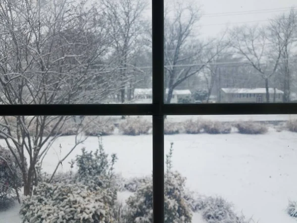 Neve no quintal no inverno e na janela — Fotografia de Stock
